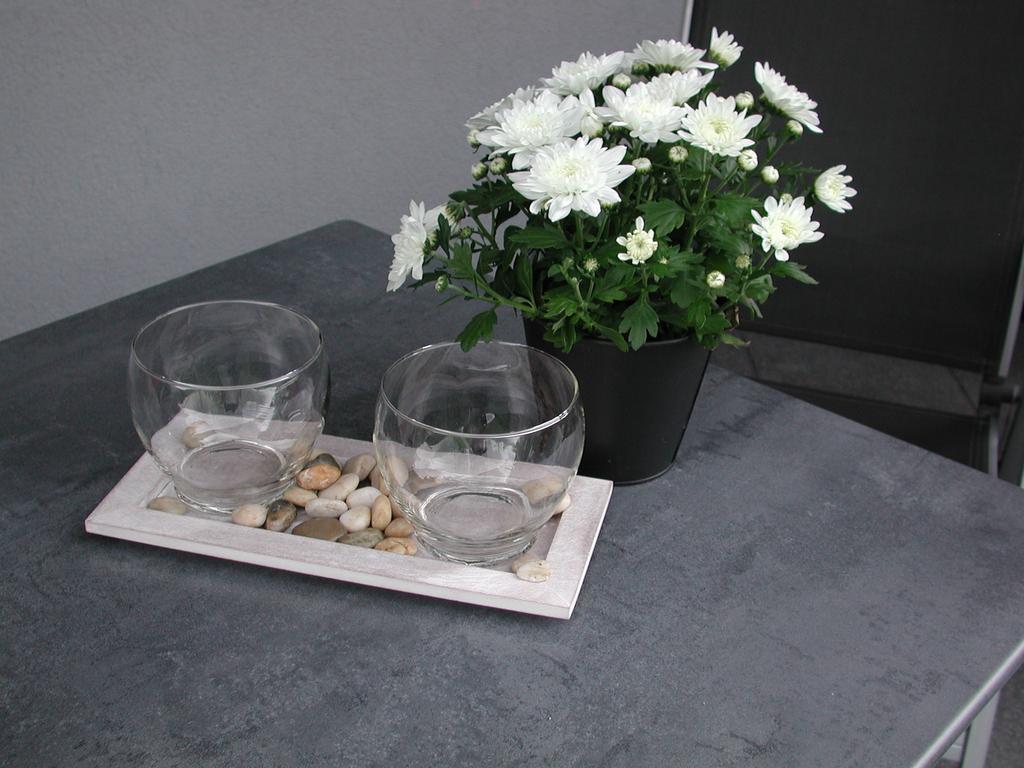 Ferienwohnung Pusteblume 코헴 객실 사진