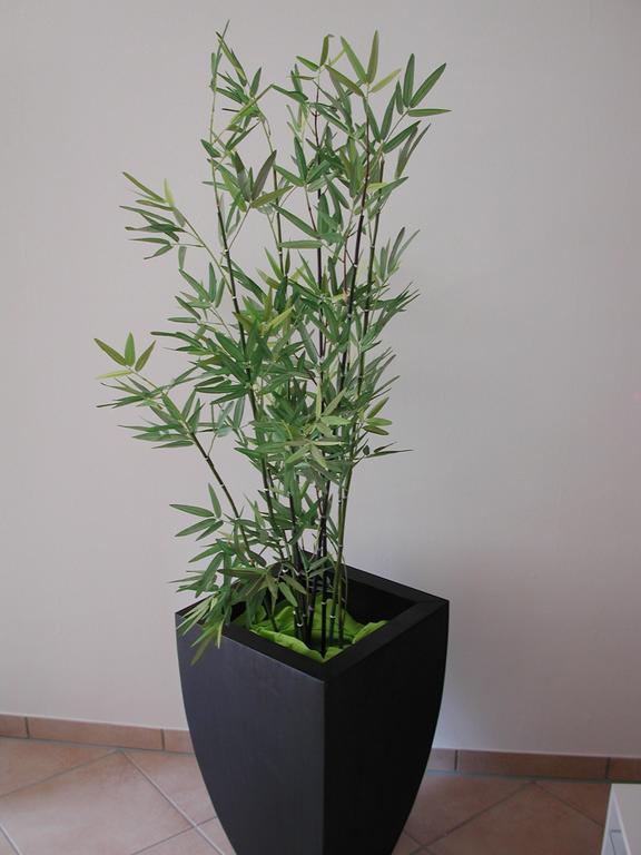Ferienwohnung Pusteblume 코헴 객실 사진