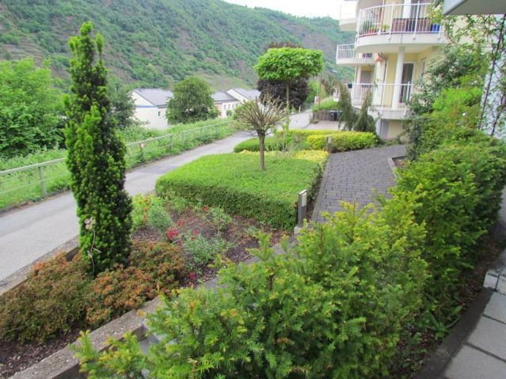 Ferienwohnung Pusteblume 코헴 객실 사진